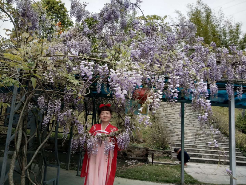 莉莉的第一张照片--古田婚介网