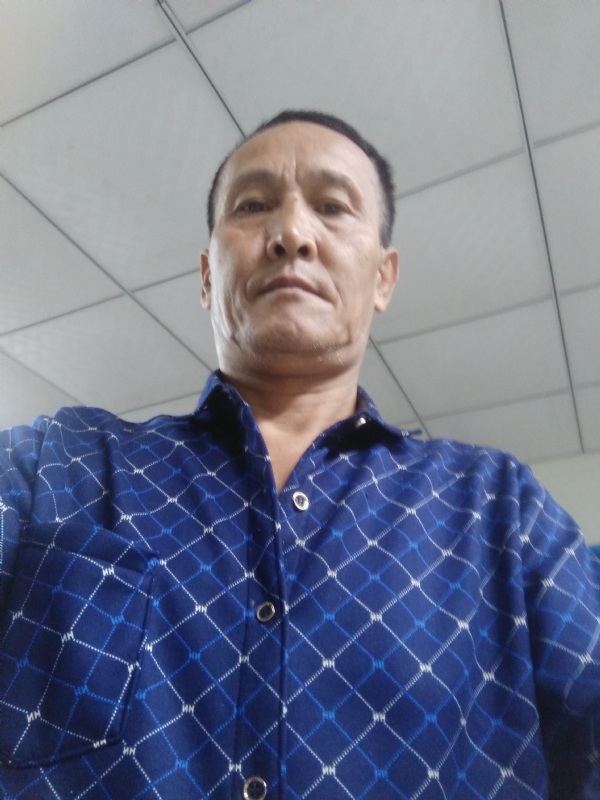 老树的第二张照片--古田婚介网