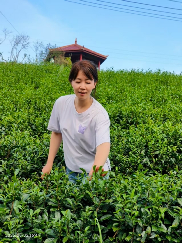 Q绮芳的第一张照片--古田婚介网
